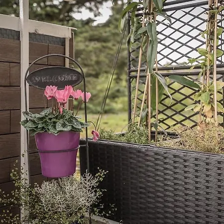 Schoene Lichtdurchflutete Mit Balkon Daire