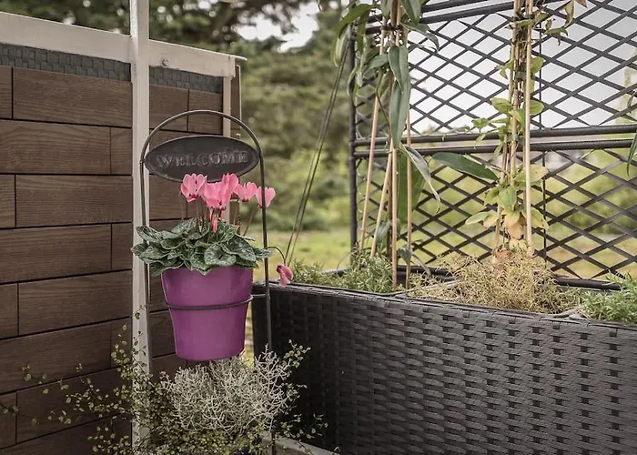Schoene Lichtdurchflutete Mit Balkon Daire